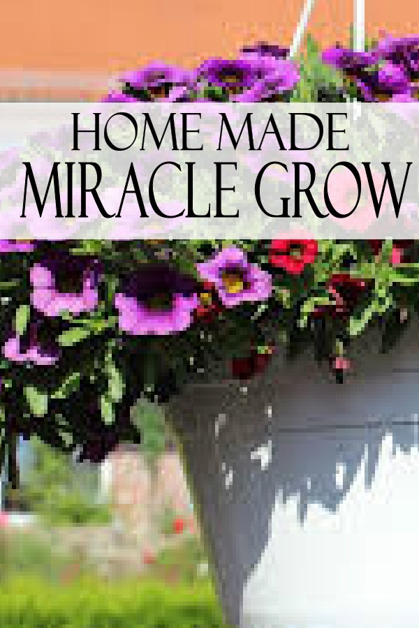 Best ideas about DIY Miracle Grow
. Save or Pin Garden Lovin Now.
