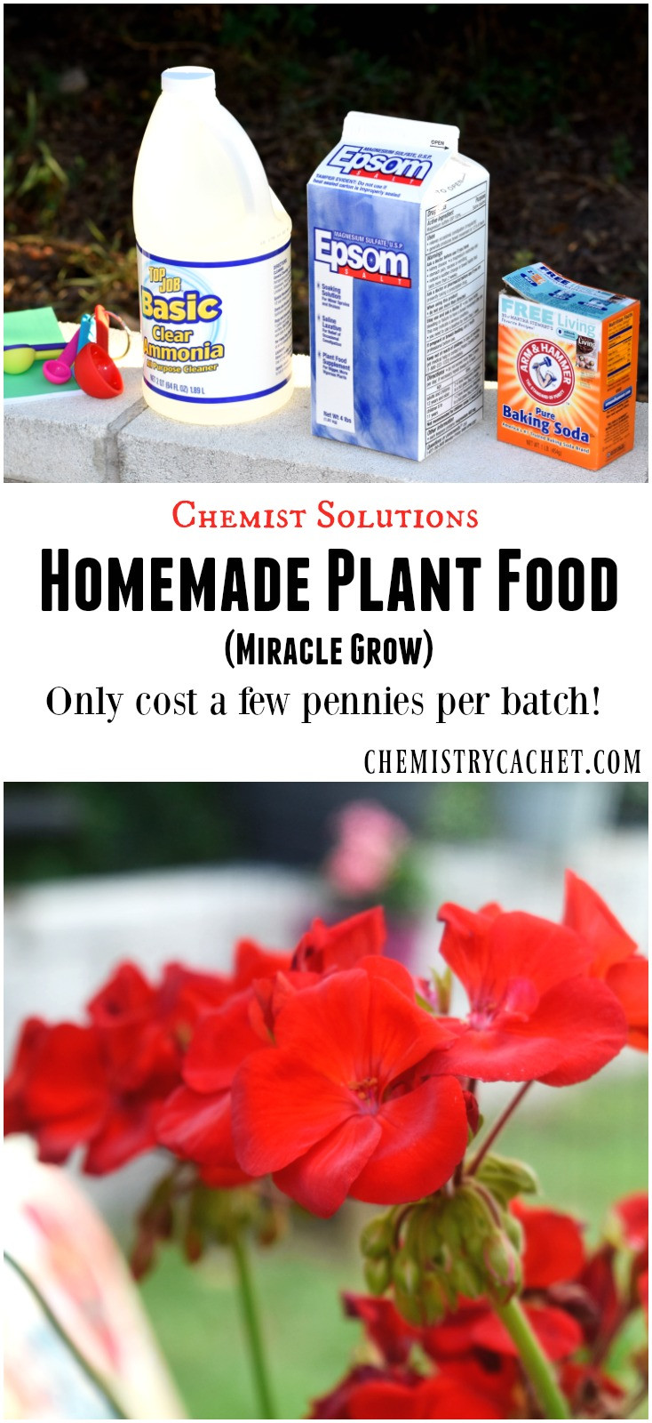 Best ideas about DIY Miracle Grow
. Save or Pin Chemist Solutions Easy Homemade Plant Food Recipe Now.