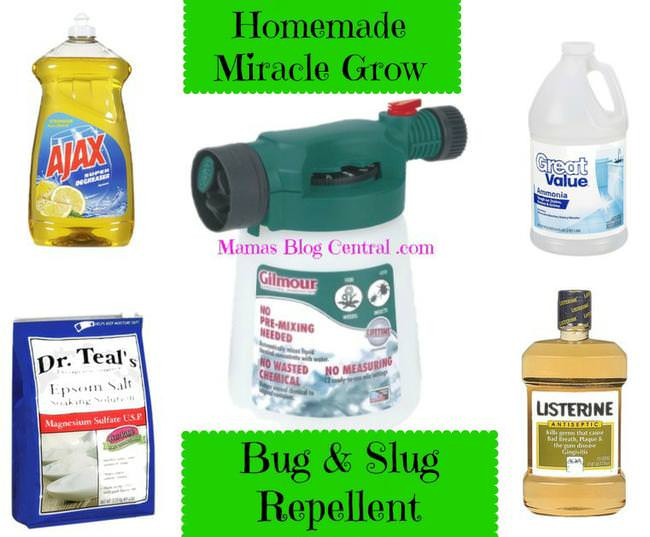 Best ideas about DIY Miracle Grow
. Save or Pin Homemade Miracle Grow & Bug Slug Repellent All In e Now.