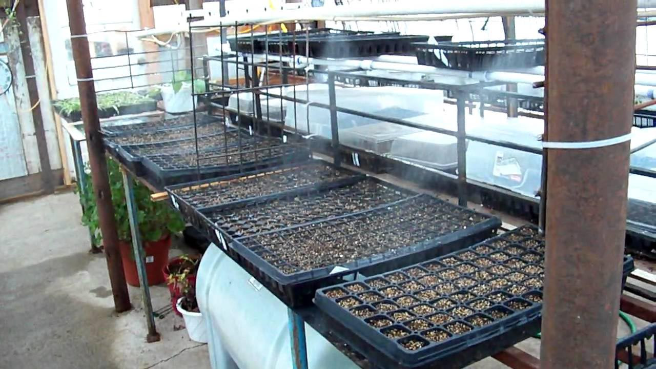 Best ideas about DIY Mister System
. Save or Pin DIY Misting System For Greenhouse Now.