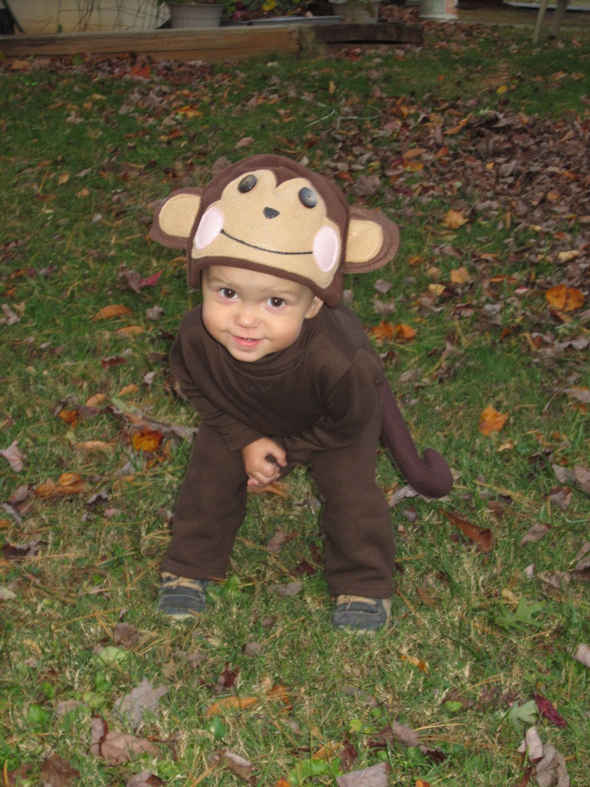 Best ideas about DIY Monkey Costume
. Save or Pin 1000 images about Monkey costume on Pinterest Now.