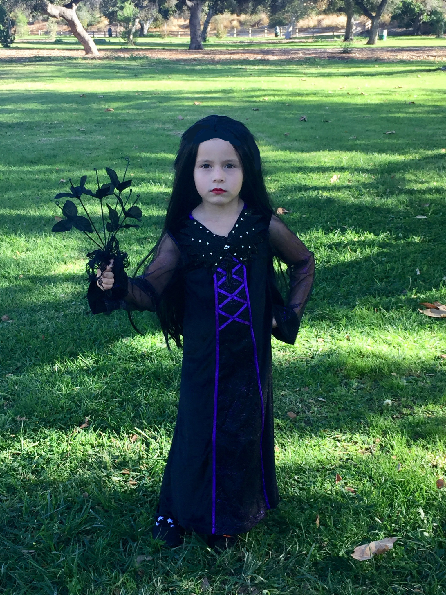 Best ideas about DIY Morticia Addams Costume
. Save or Pin DIY Morticia and Wednesday Addams Halloween Costumes Now.