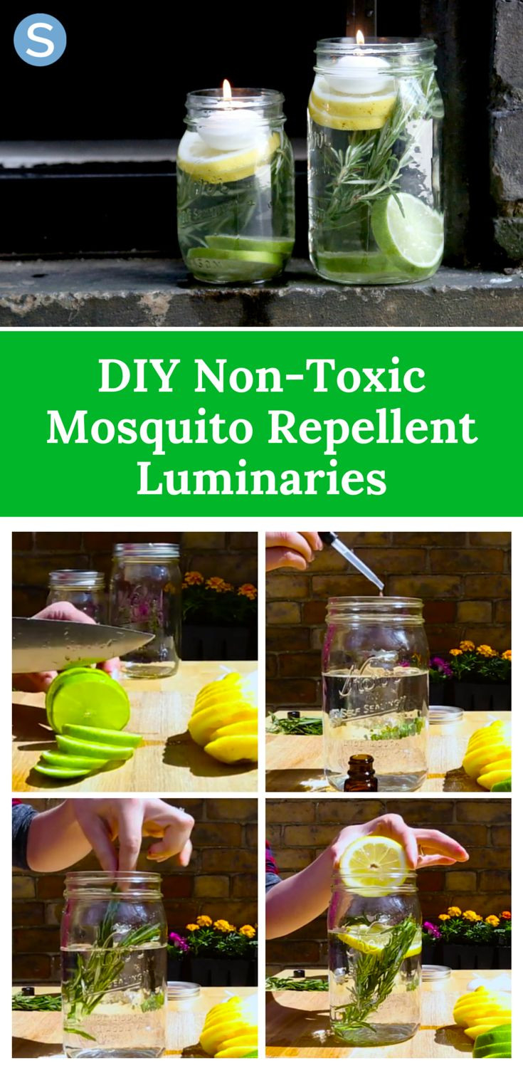 Best ideas about DIY Mosquito Repellent
. Save or Pin The 25 best Homemade mosquito repellant ideas on Now.