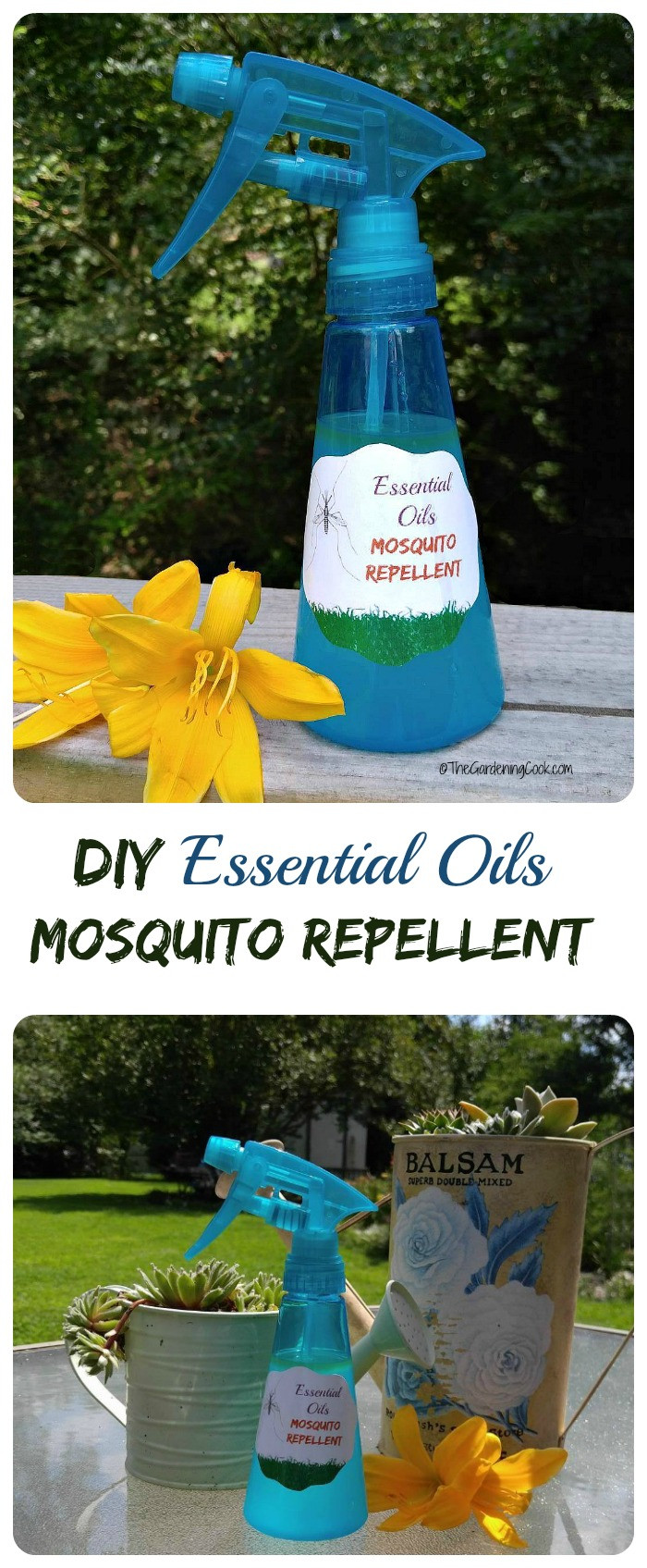 Best ideas about DIY Mosquito Repellent
. Save or Pin Essential Oil Mosquito Repellent Spray DIY Project Now.