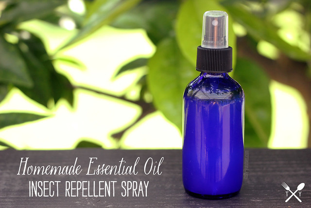 Best ideas about DIY Mosquito Spray
. Save or Pin How to Make Homemade Essential Oil Insect Repellent Spray Now.
