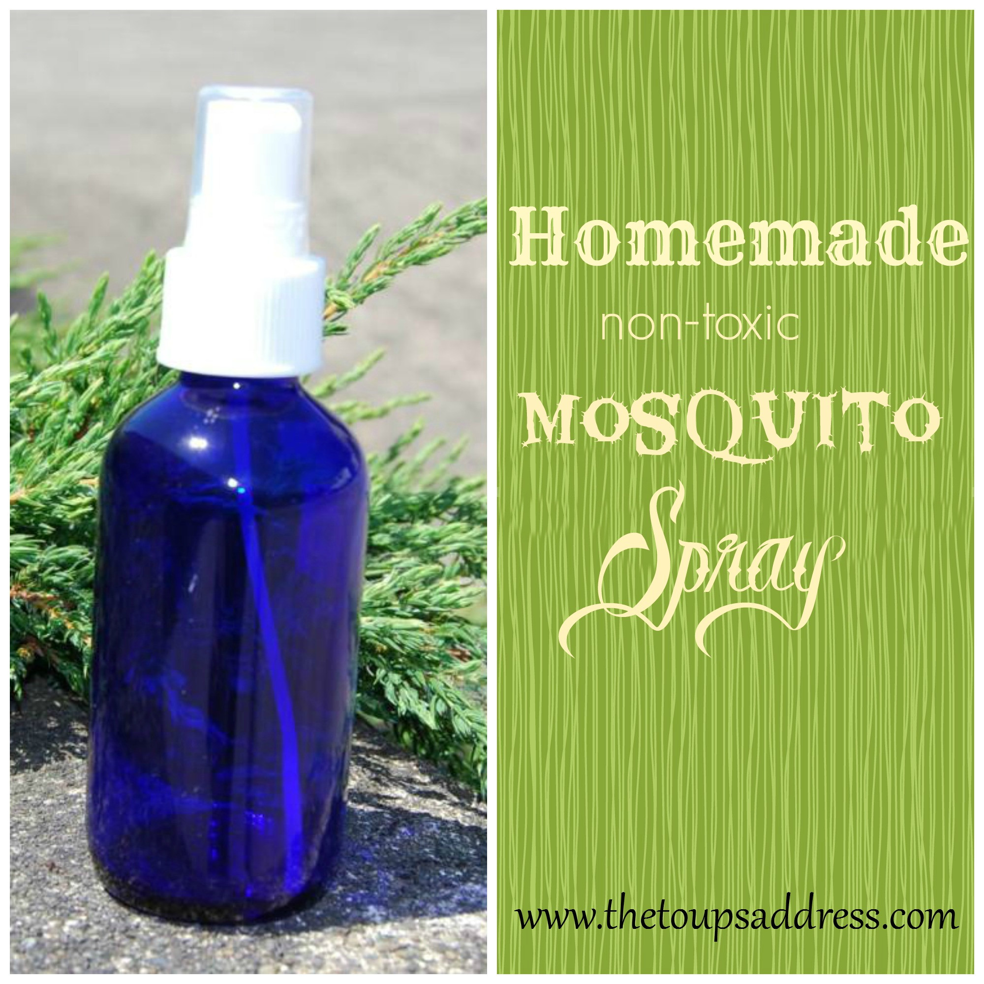 Best ideas about DIY Mosquito Spray
. Save or Pin Homemade Mosquito Spray The Toups Address Now.