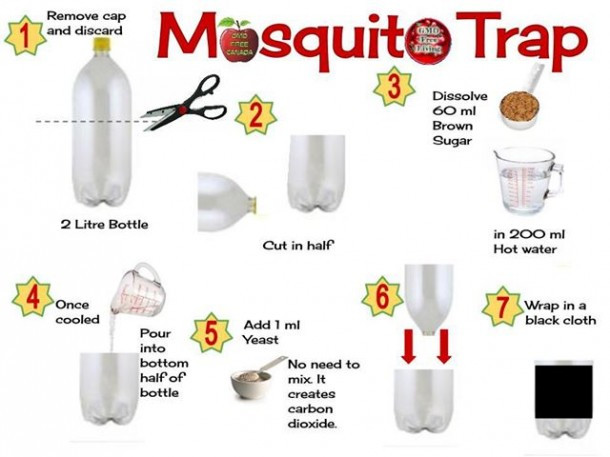 Best ideas about DIY Mosquito Trap
. Save or Pin Simple Homemade Mosquito Trap Now.