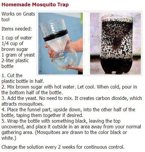 Best ideas about DIY Mosquito Trap
. Save or Pin 30 of the BEST Camping Ideas Gear Tips & Tricks Now.