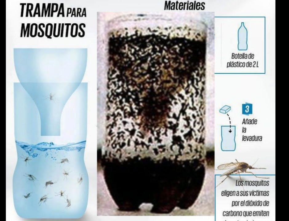 Best ideas about DIY Mosquito Trap
. Save or Pin how to make a home made mosquito trap Now.