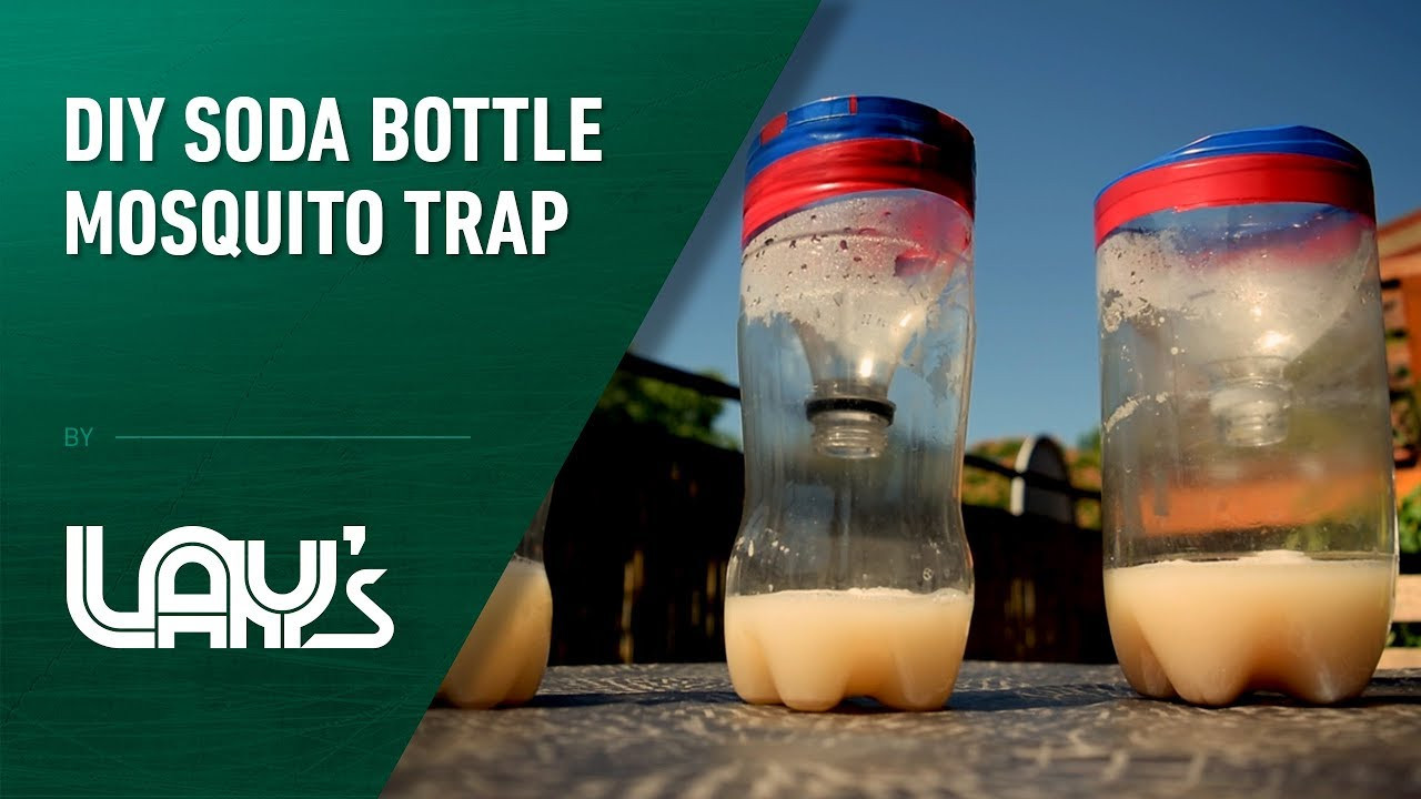 Best ideas about DIY Mosquito Trap
. Save or Pin DIY Soda Bottle Mosquito Trap Now.