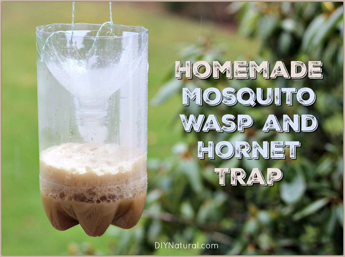 Best ideas about DIY Mosquito Trap
. Save or Pin Homemade Mosquito Traps and Homemade Wasp Traps Now.