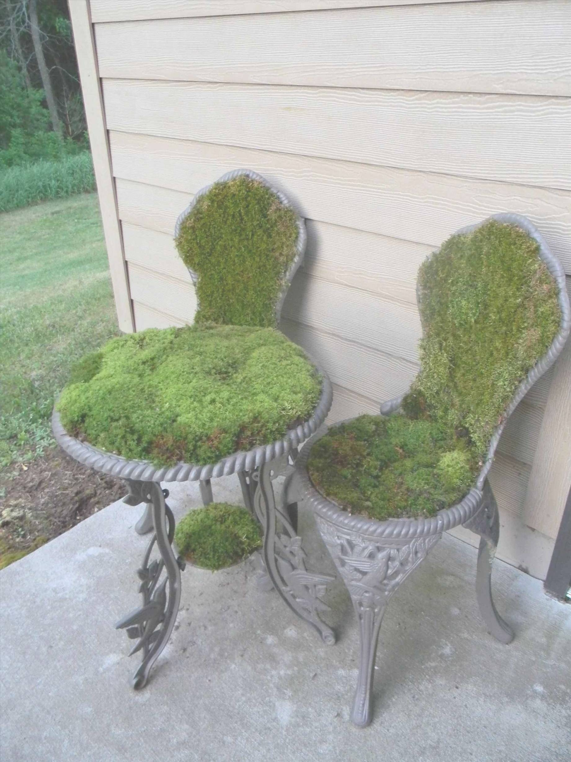 Best ideas about DIY Moss Wall
. Save or Pin 49 Best of Moss Wall Art Now.