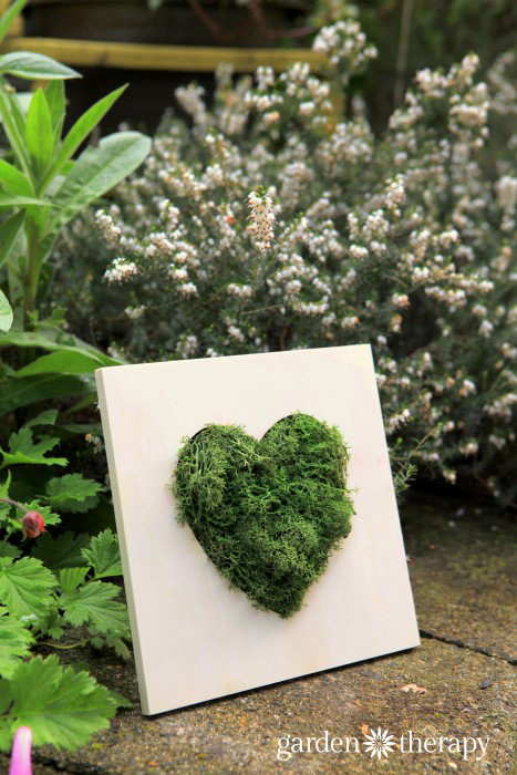 Best ideas about DIY Moss Wall
. Save or Pin Make this Moss Heart Wall Art in 10 Minutes Now.