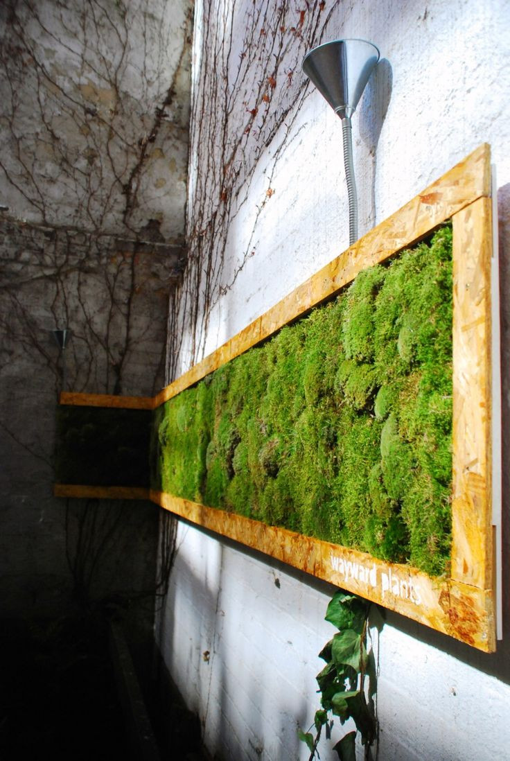 Best ideas about DIY Moss Wall
. Save or Pin Best 25 Moss wall ideas on Pinterest Now.