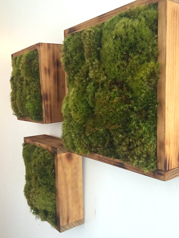 Best ideas about DIY Moss Wall
. Save or Pin Living Moss Wall Garden Vertical Moss Garden in Reclaimed Now.