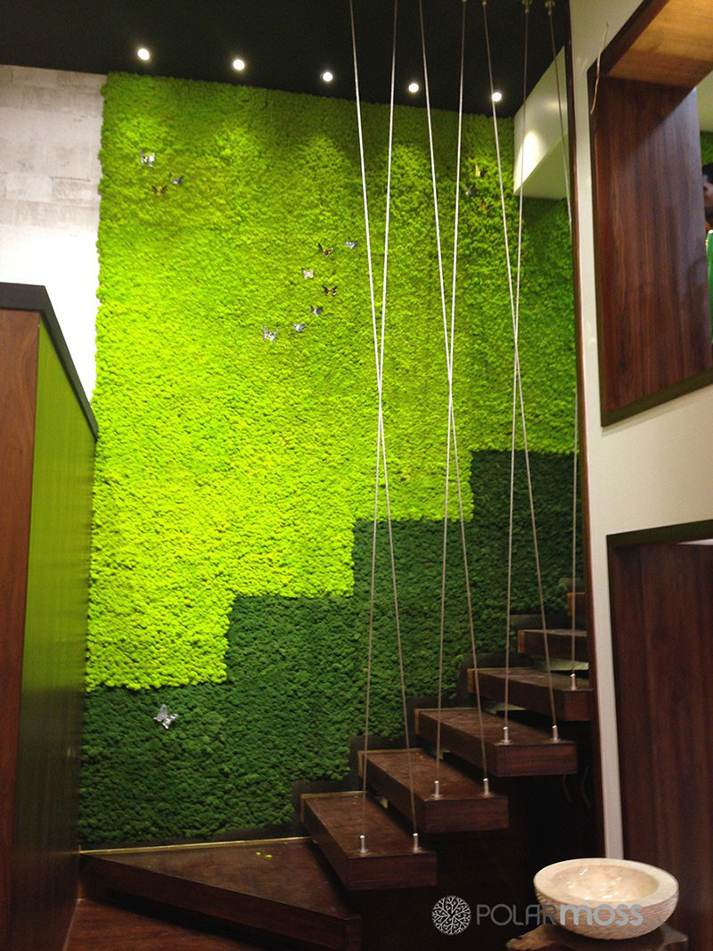 Best ideas about DIY Moss Wall
. Save or Pin DIY Moss Ideas 12 Moss Wall Art and Inspiration Now.