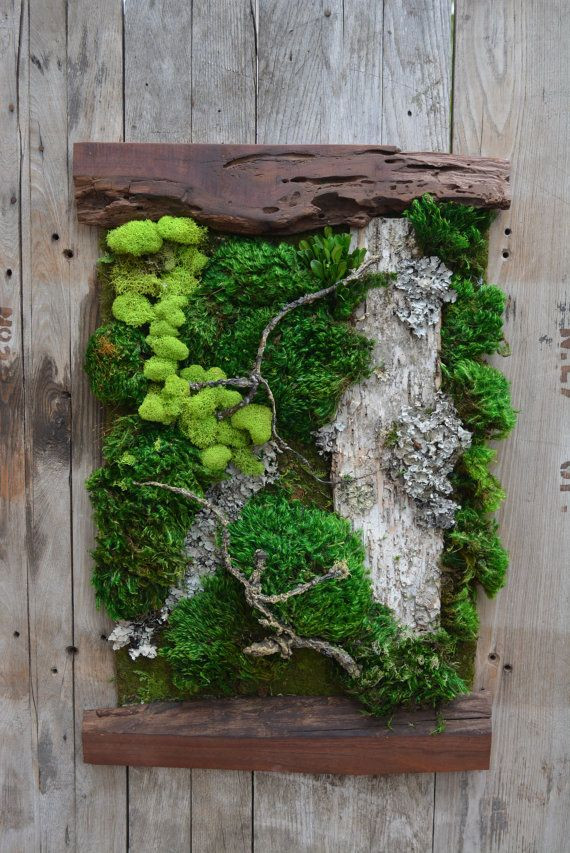 Best ideas about DIY Moss Wall
. Save or Pin Best 25 Moss wall art ideas on Pinterest Now.