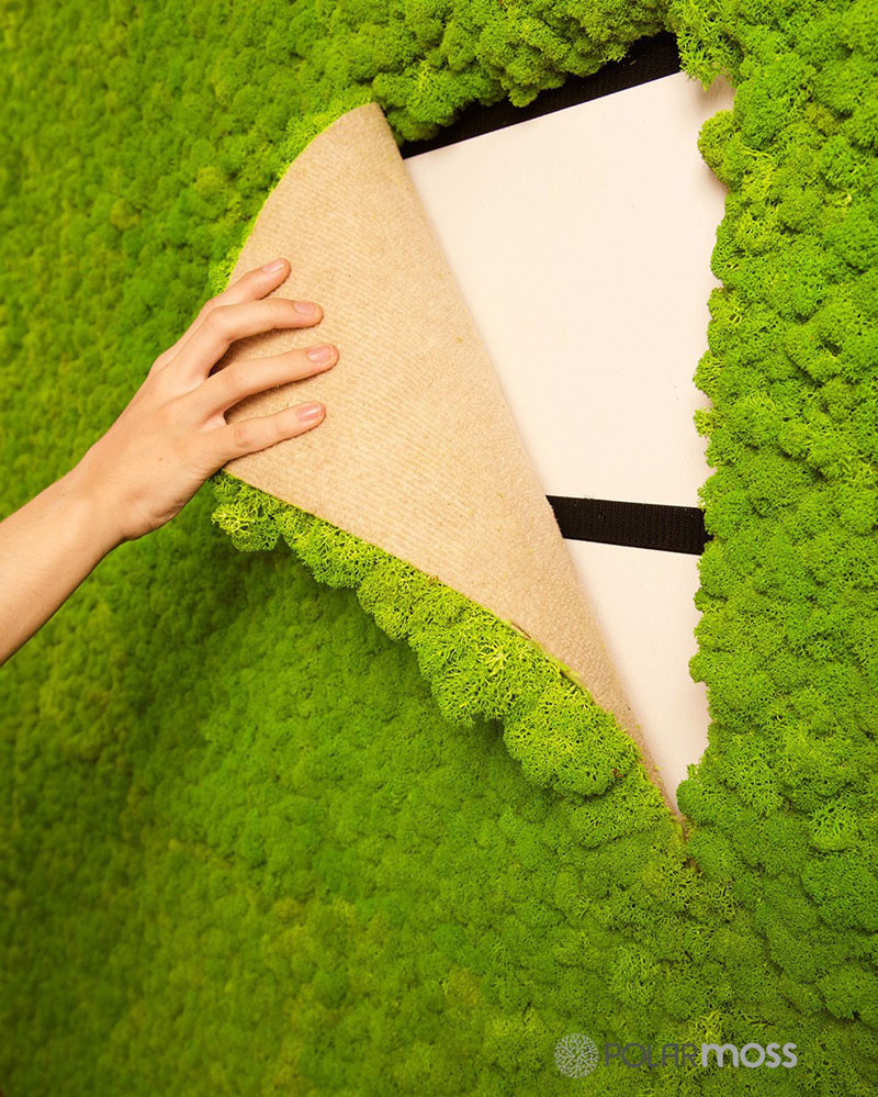 Best ideas about DIY Moss Wall
. Save or Pin DIY Moss Ideas 12 Moss Wall Art and Inspiration Now.