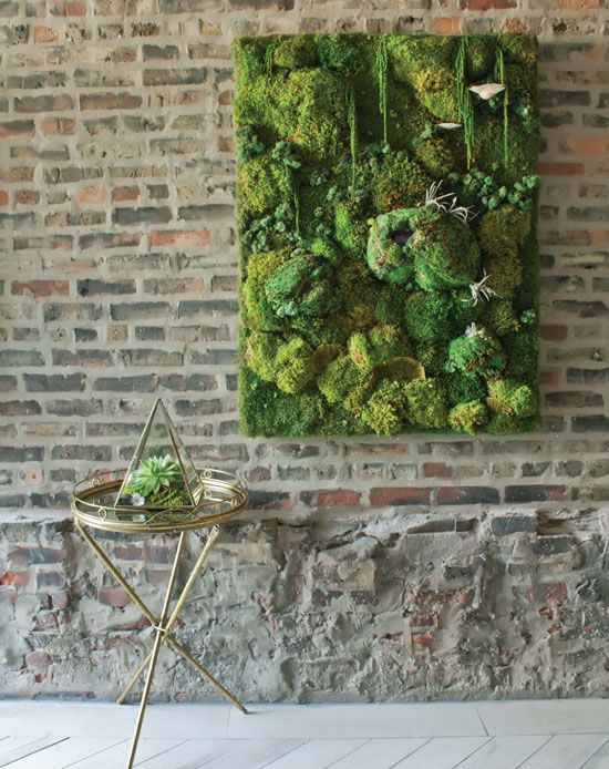 Best ideas about DIY Moss Wall
. Save or Pin Best 25 Moss wall ideas on Pinterest Now.