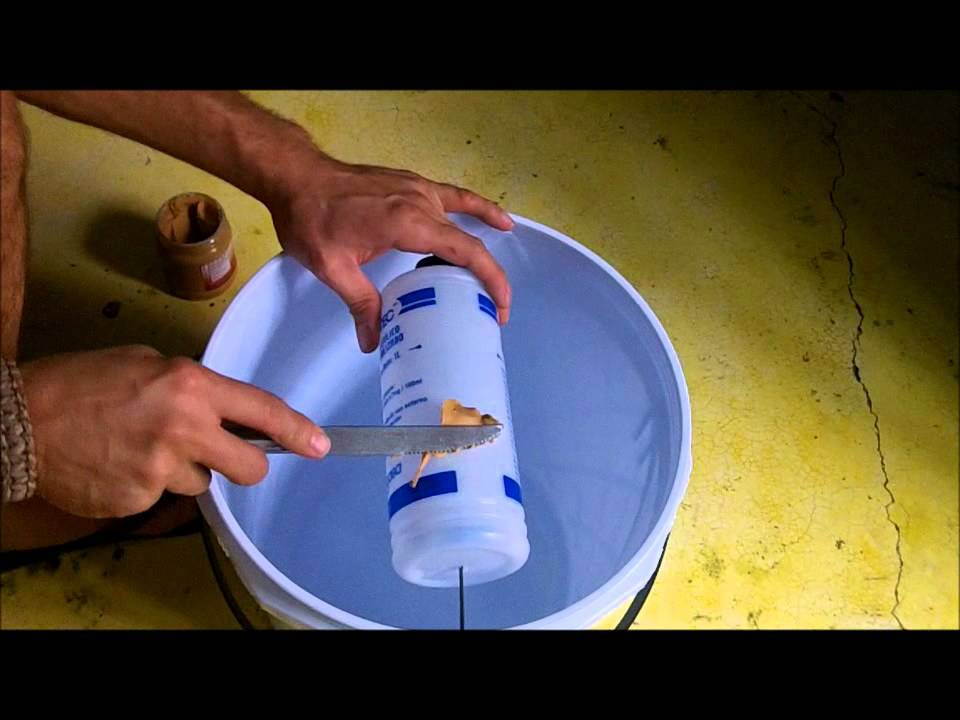 Best ideas about DIY Mouse Trap
. Save or Pin Super Homemade Rat Trap Now.