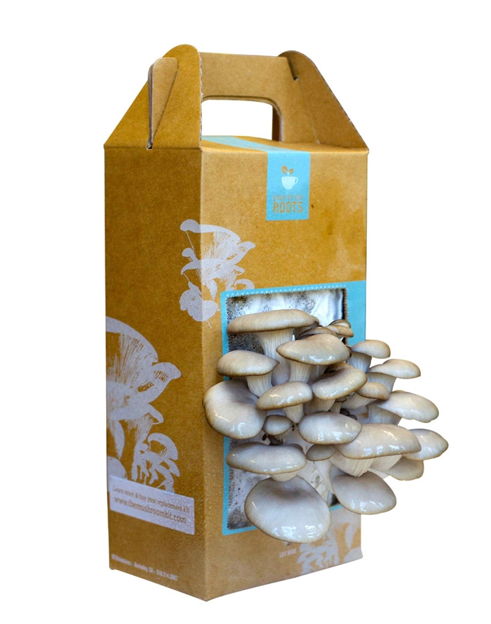 Best ideas about DIY Mushroom Grow Box
. Save or Pin Grow Your Own Mushroom Garden Now.