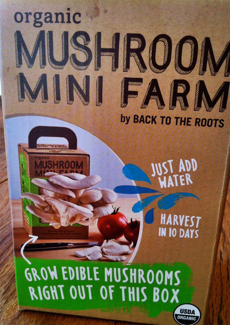 Best ideas about DIY Mushroom Grow Box
. Save or Pin DIY Mushroom Farm Now.