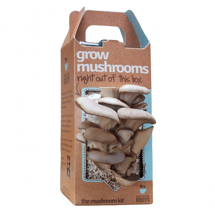 Best ideas about DIY Mushroom Grow Box
. Save or Pin Mushroom packaging Now.