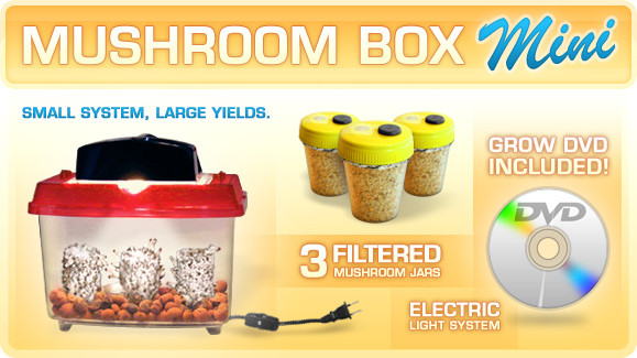 Best ideas about DIY Mushroom Grow Box
. Save or Pin The stop ing grow kits thread Mushroom Cultivation Now.