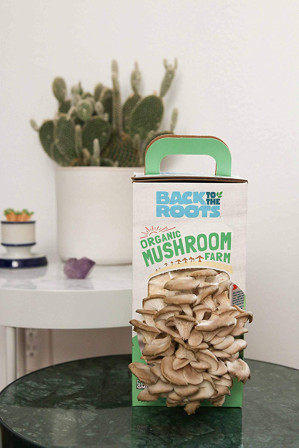 Best ideas about DIY Mushroom Kit
. Save or Pin Back to the Roots Organic Mushroom Growing Kit DIY Indoor Now.