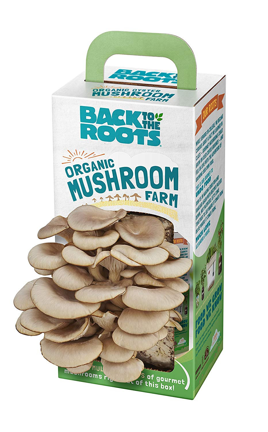 Best ideas about DIY Mushroom Kit
. Save or Pin פטיו הדשא וגן Back to the Roots Organic Mushroom Now.