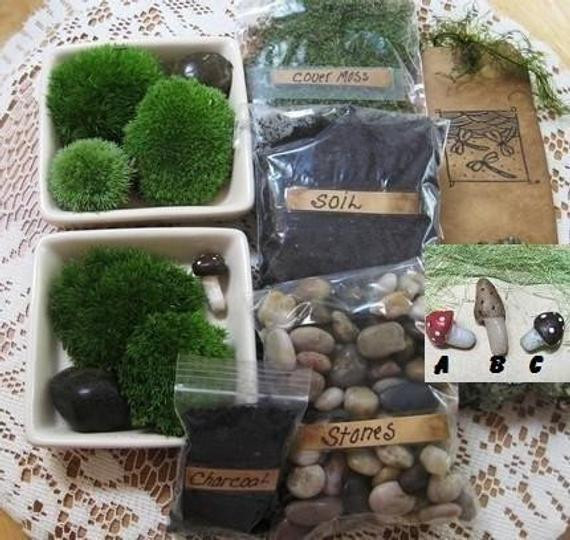 Best ideas about DIY Mushroom Kit
. Save or Pin DIY Terrarium Kit Build Your Own Terrarium Green Now.