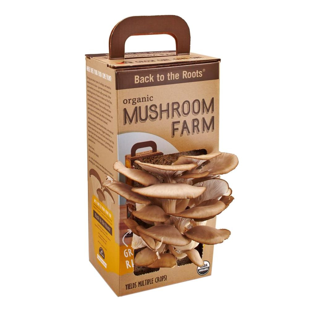 Best ideas about DIY Mushroom Kit
. Save or Pin Back to the Roots Mushroom Farm Kit MUSHKIT1 The Home Depot Now.