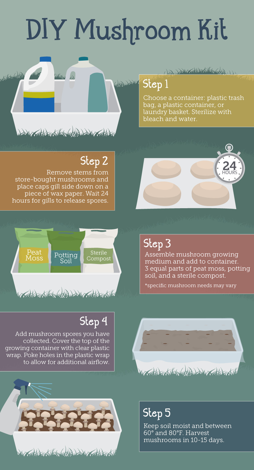 Best ideas about DIY Mushroom Kit
. Save or Pin Growing Mushrooms at Home Now.