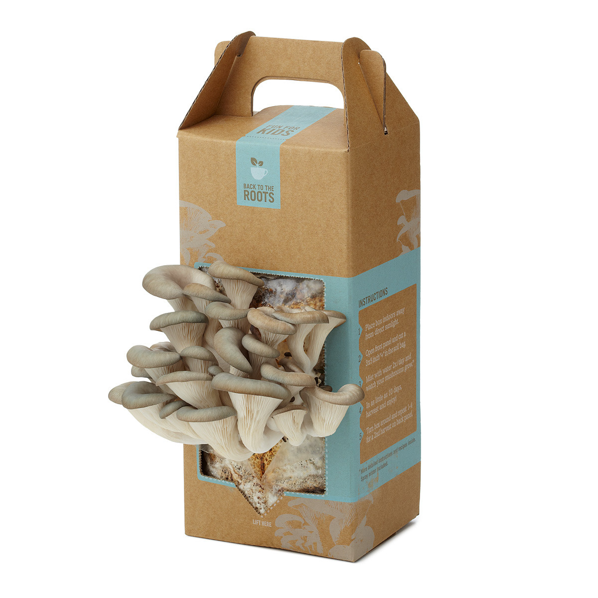 Best ideas about DIY Mushroom Kit
. Save or Pin Mushroom Kit Now.