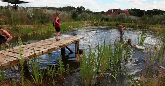 Best ideas about DIY Natural Swimming Pool
. Save or Pin How to Build a DIY Natural Swimming Pool Video TreeHugger Now.