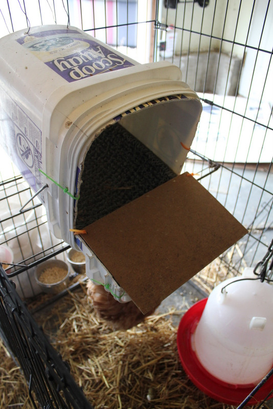 Best ideas about DIY Nest Boxes
. Save or Pin DIY roll away nest box My Pet Chicken Blog Now.