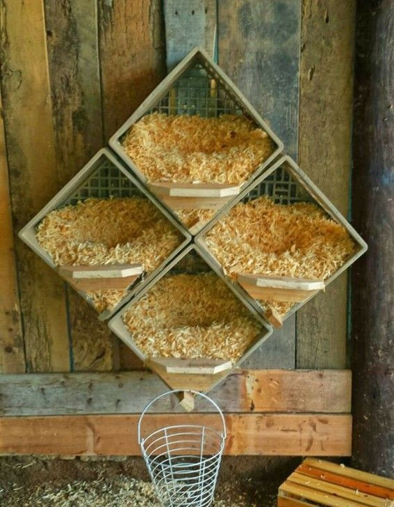 Best ideas about DIY Nest Boxes
. Save or Pin Best 25 Chicken nesting boxes ideas on Pinterest Now.