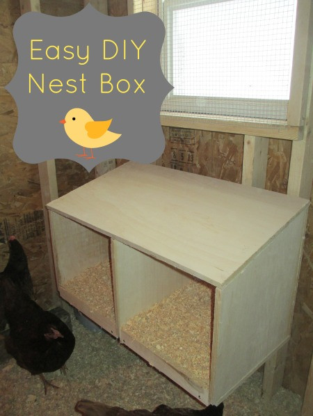 Best ideas about DIY Nest Boxes
. Save or Pin Easy DIY Nest Box – Scott Family Homestead Now.