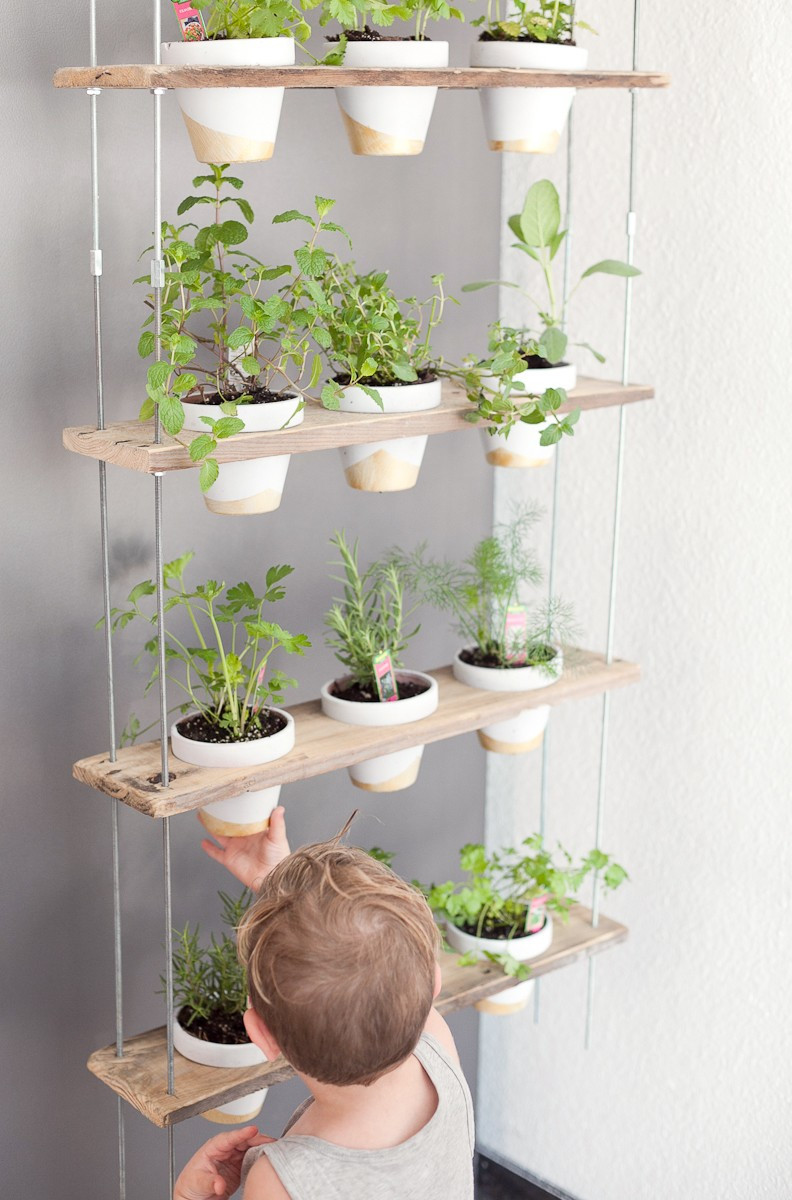 Best ideas about DIY Outdoor Herb Garden
. Save or Pin Custom Potted Hanging Herb Garden DIY Fresh Mommy Blog Now.