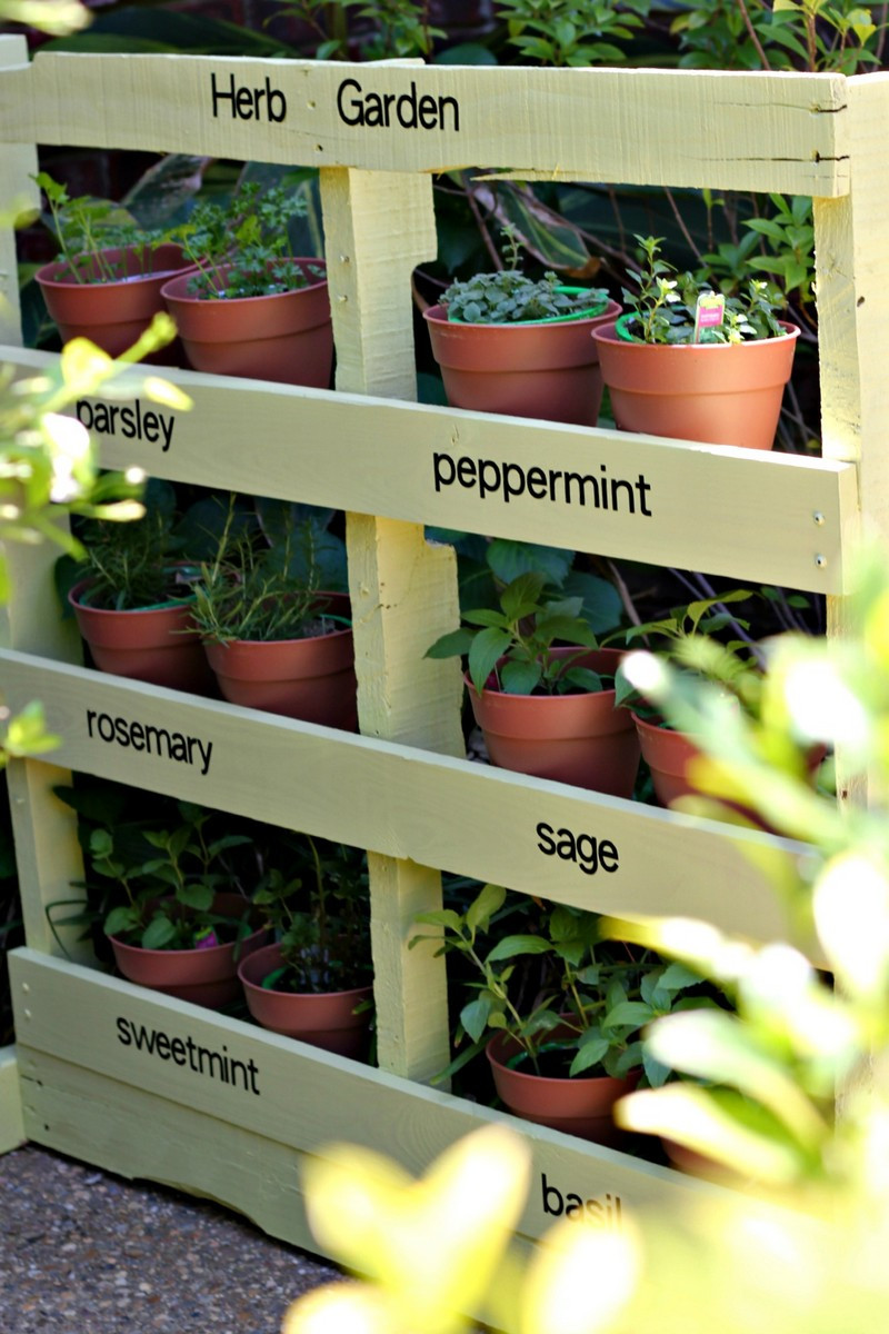 Best ideas about DIY Outdoor Herb Garden
. Save or Pin Pallet Vertical Herb Garden Now.