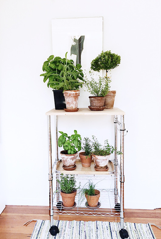 Best ideas about DIY Outdoor Plant Stand
. Save or Pin 15 DIY Plant Stands You Can Make Yourself – Home and Now.