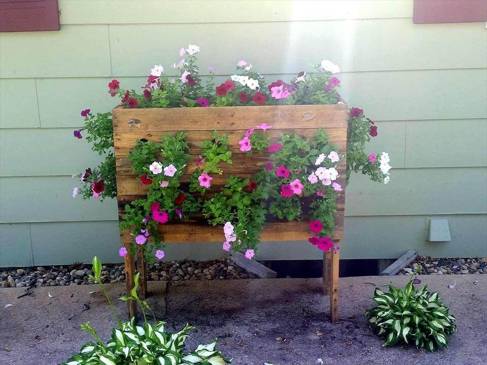 Best ideas about Diy Outdoor Planters
. Save or Pin Wooden Pallet Watering Can Planter Now.