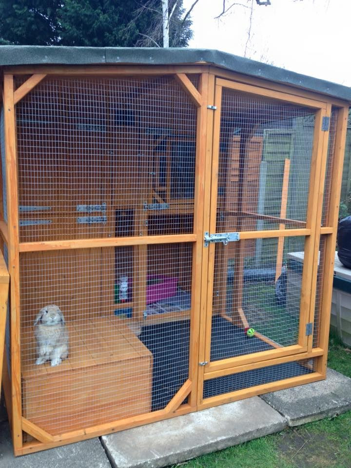 Best ideas about DIY Outdoor Rabbit Cage
. Save or Pin Les 474 meilleures images du tableau Great rabbit home Now.