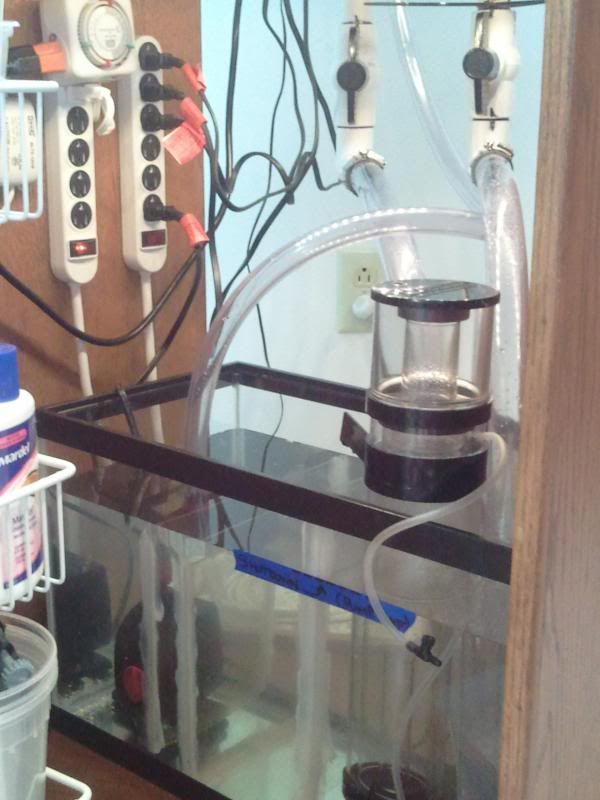 Best ideas about DIY Overflow Box
. Save or Pin DIY Internal Overflow Box w 2 DIY PVC Overflows Reef Now.