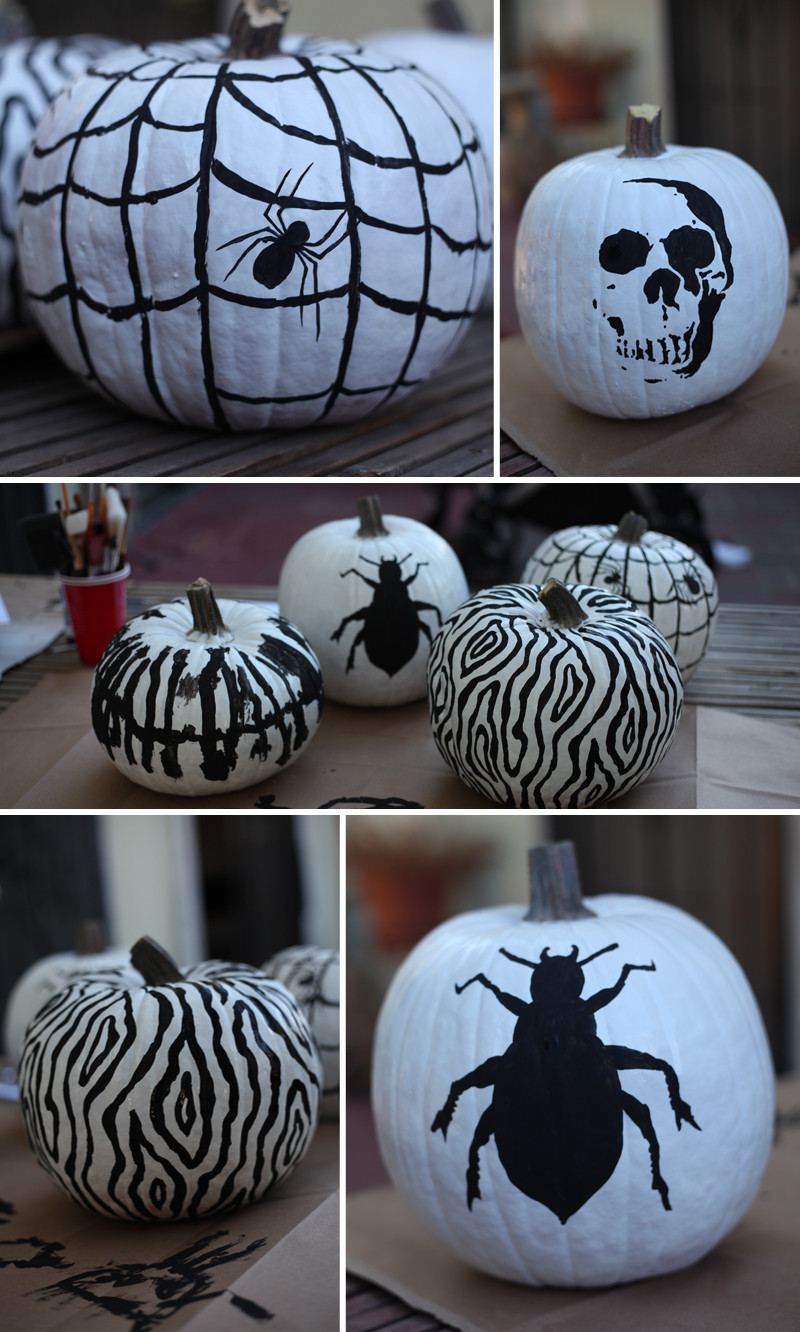 Best ideas about DIY Painted Pumpkins
. Save or Pin Classic DIY Black White Pumpkins Now.