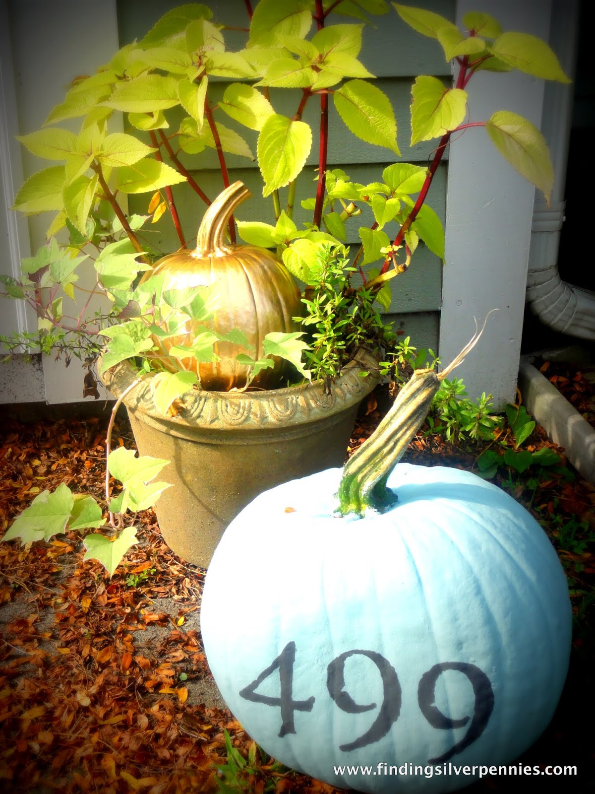 Best ideas about DIY Painted Pumpkins
. Save or Pin DIY Painted Pumpkins Finding Silver Pennies Now.