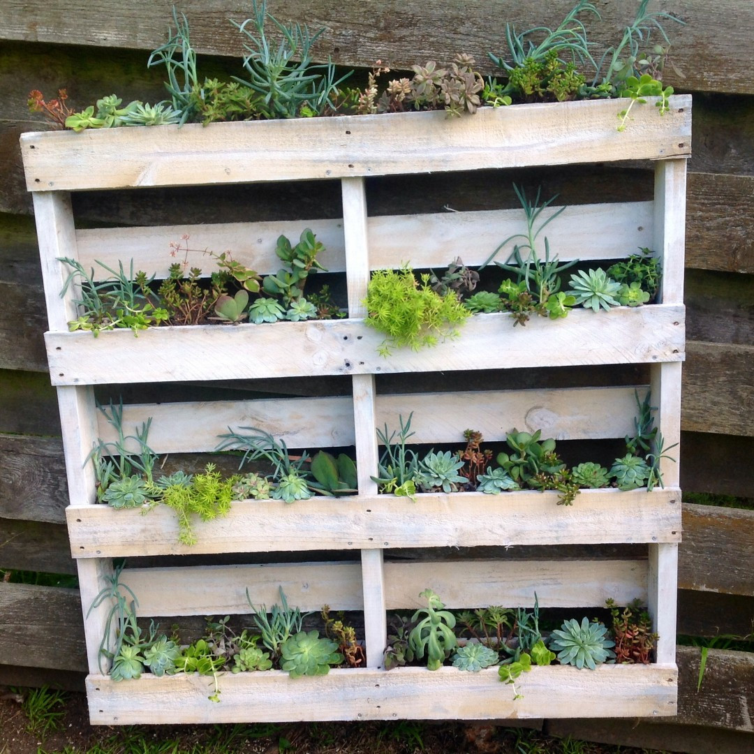 Best ideas about DIY Pallet Planter
. Save or Pin DIY Pallet Wall Planter Now.