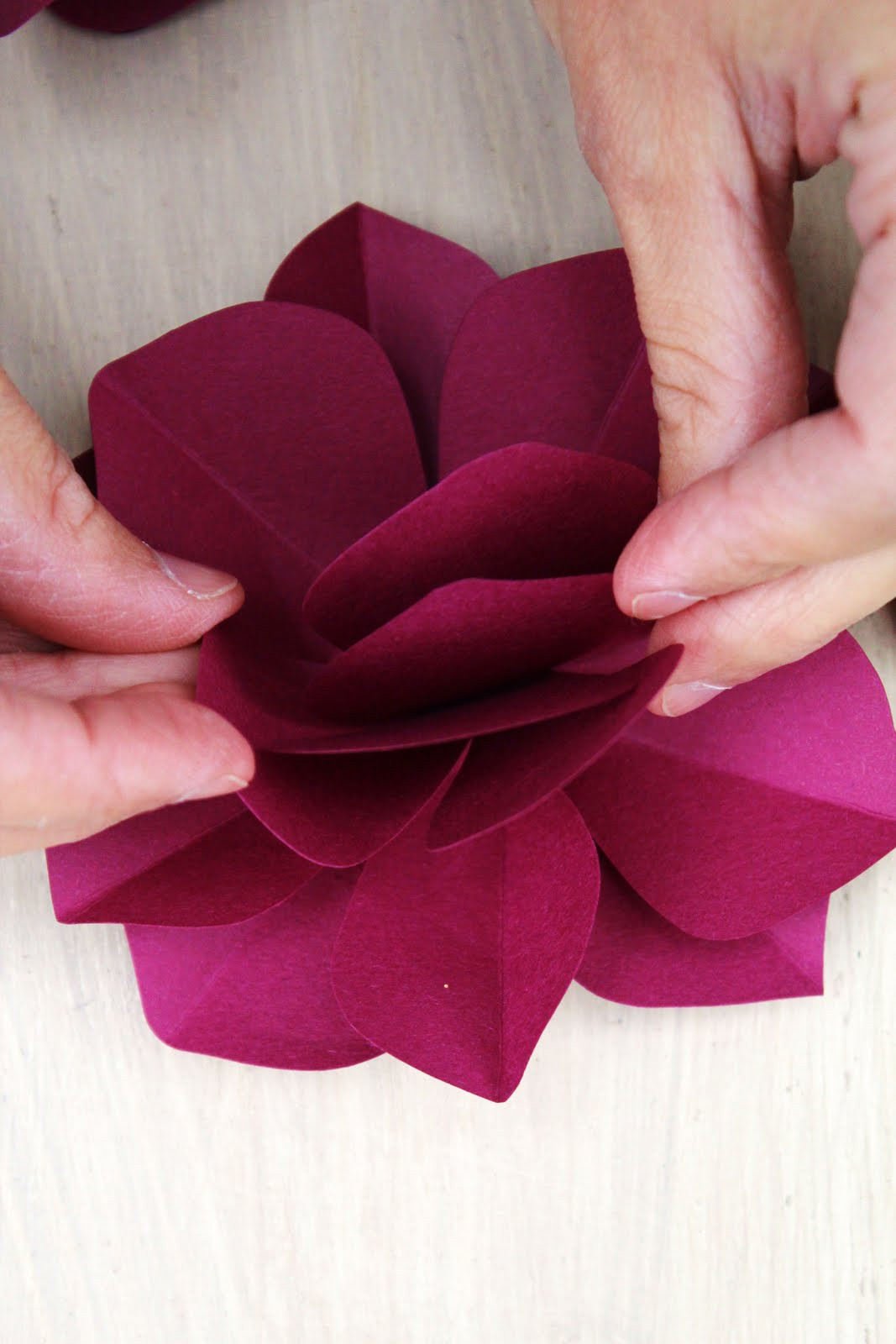 Best ideas about DIY Paper Flower
. Save or Pin Icing Designs DIY Paper Flowers Now.