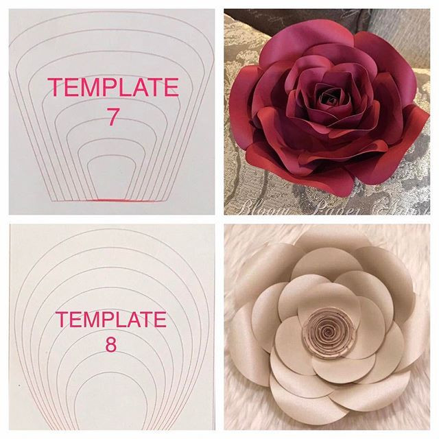 Best ideas about DIY Paper Flowers Template
. Save or Pin Paper flower templates Craft Room Now.