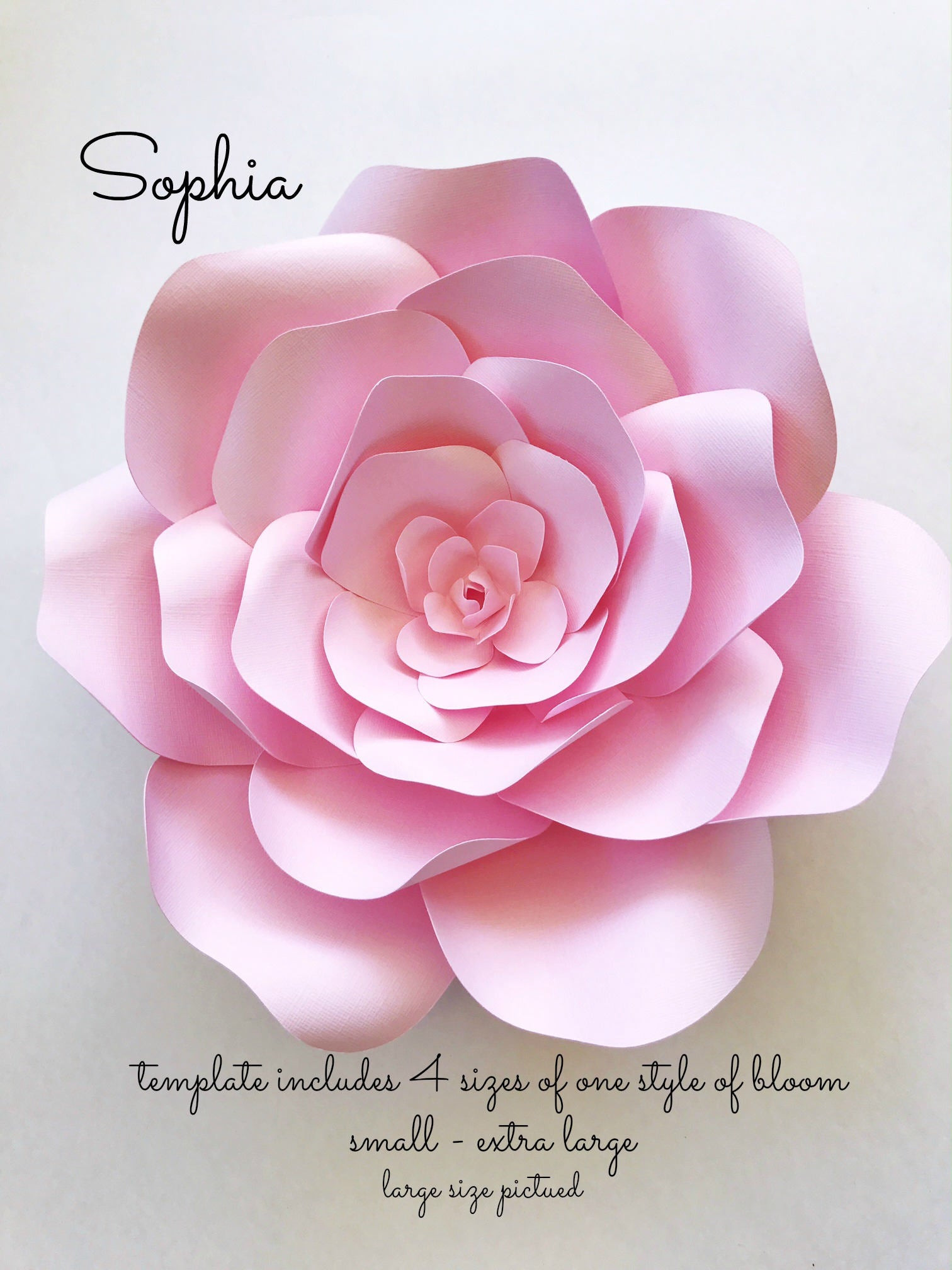 Best ideas about DIY Paper Flowers Template
. Save or Pin DIY Paper flowers for photo backdrops or home decor Paper Now.